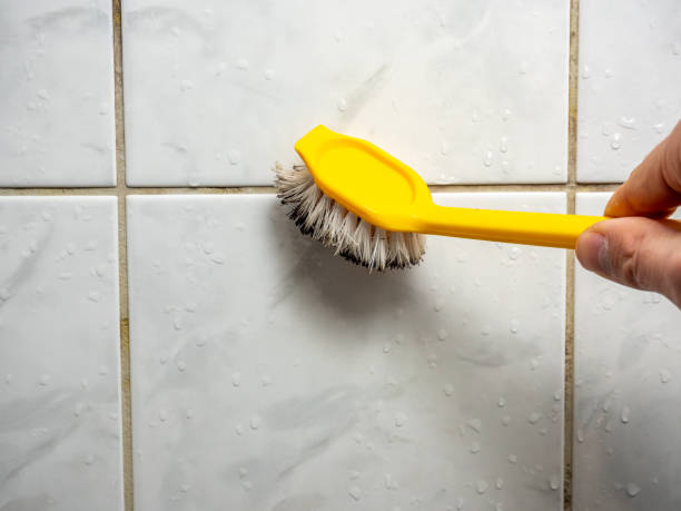 Best Attic Mold Removal  in Klamath Falls, OR