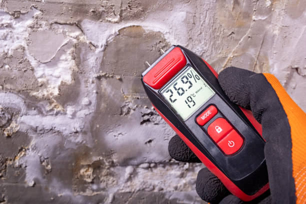 Best Mold Remediation  in Klamath Falls, OR