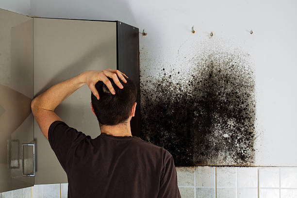 Best Professional Mold Removal  in Klamath Falls, OR