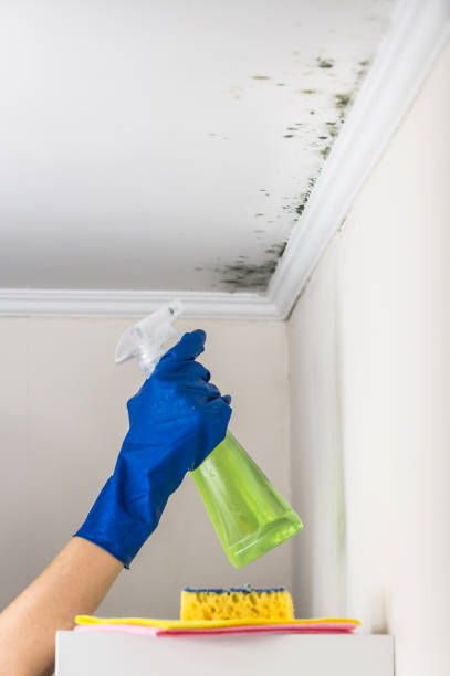 Best Mold Testing  in Klamath Falls, OR